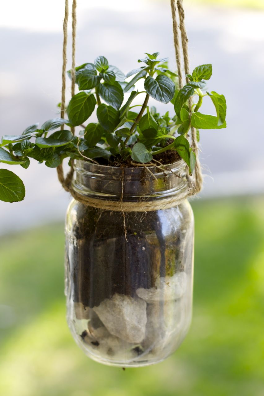 Glass jar herb planters